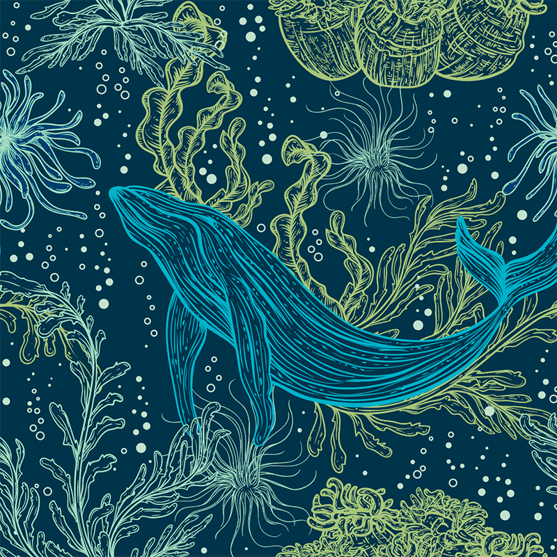 20oz TKWide with Twist Cap - Ocean Day - Blue Whale