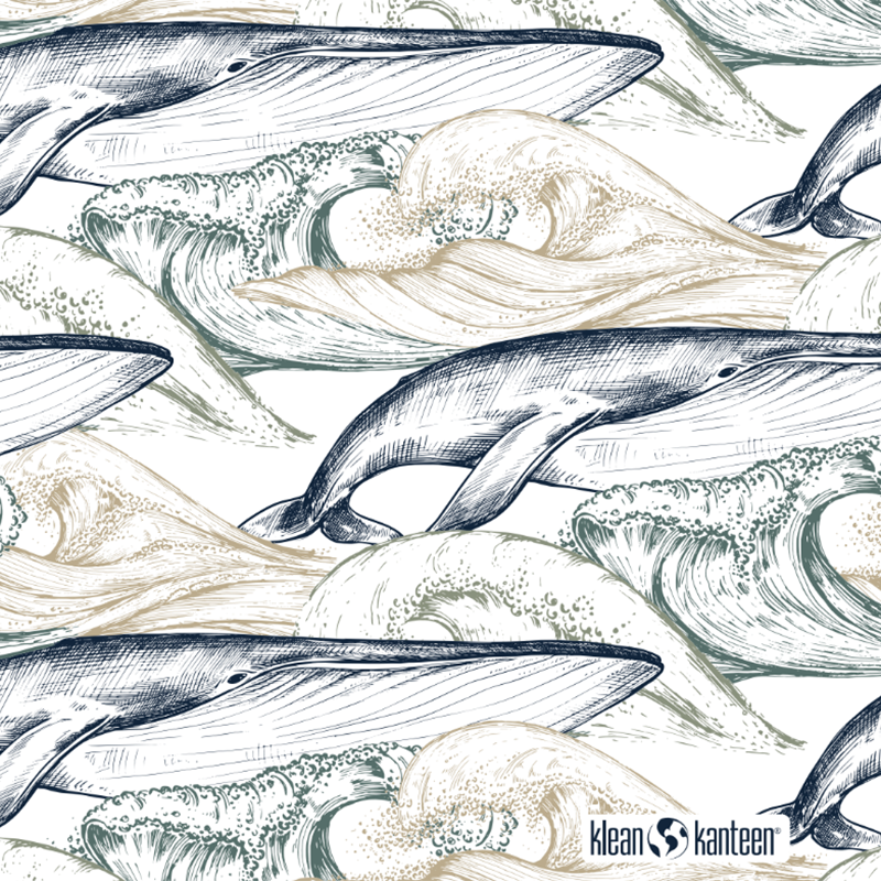 20oz TKWide with Twist Cap - Ocean Day - Whale