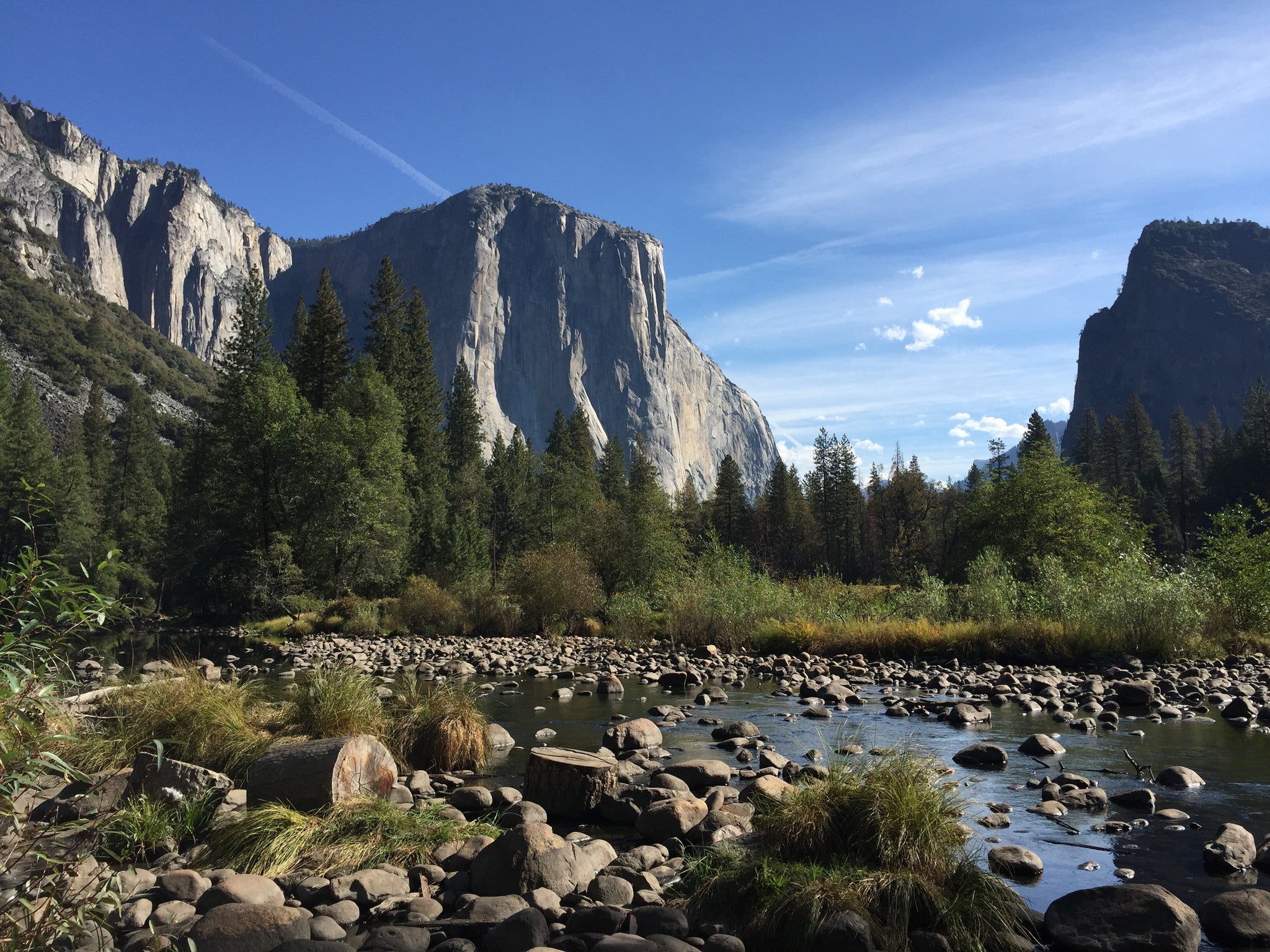 Celebrating 100 Years of Our National Parks