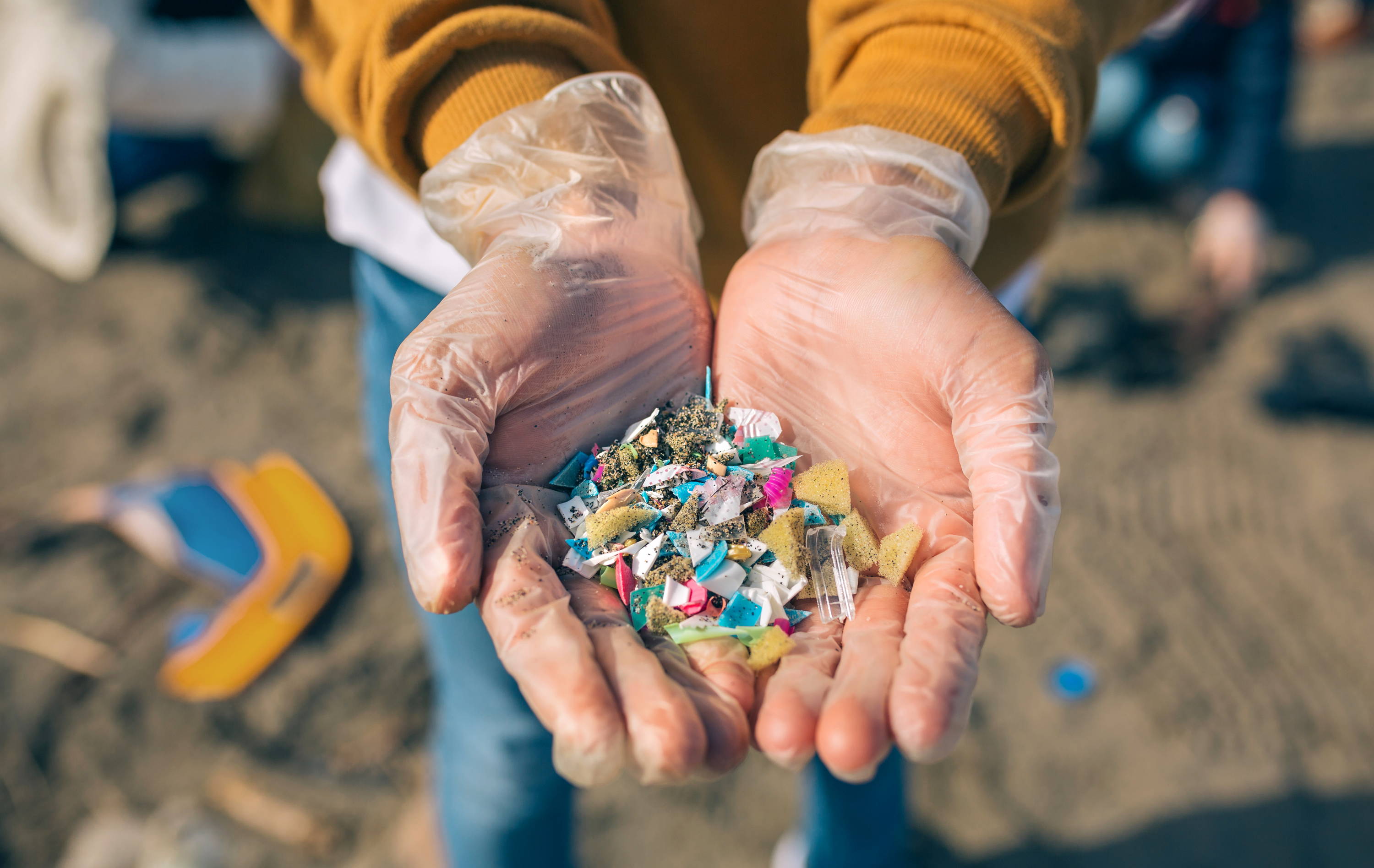 What Are Microplastics?