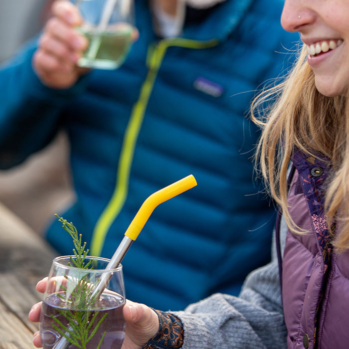 Steel Straws with Silicone Tip