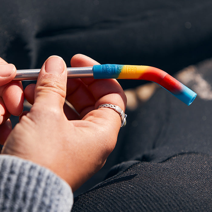 Steel Straw with Silicone Tip